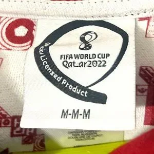 Outerstuff Men's FIFA World Cup Hooded Sweatshirt - Officially Licensed Fan Gear, Multicolor, Medium